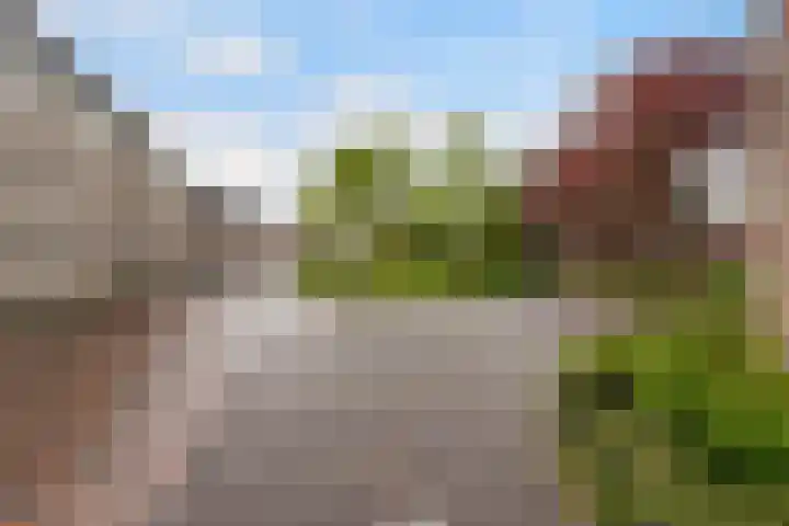 Bocstelstede 20 Boxtel thumbnail 55