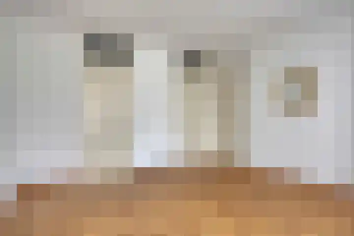 Bocstelstede 34 Boxtel thumbnail 22