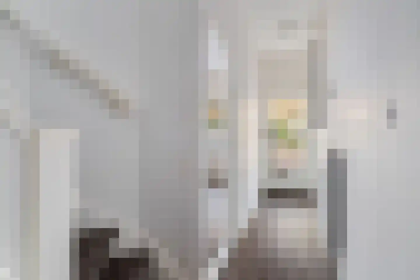 Boddaertstraat 42 Den Haag thumbnail 31