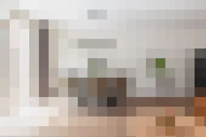 Boddemate 3 Zwolle thumbnail 11