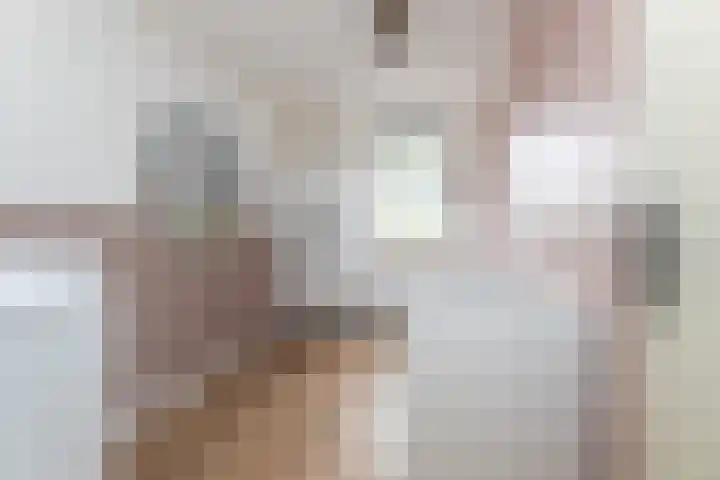 Boddemate 3 Zwolle thumbnail 20