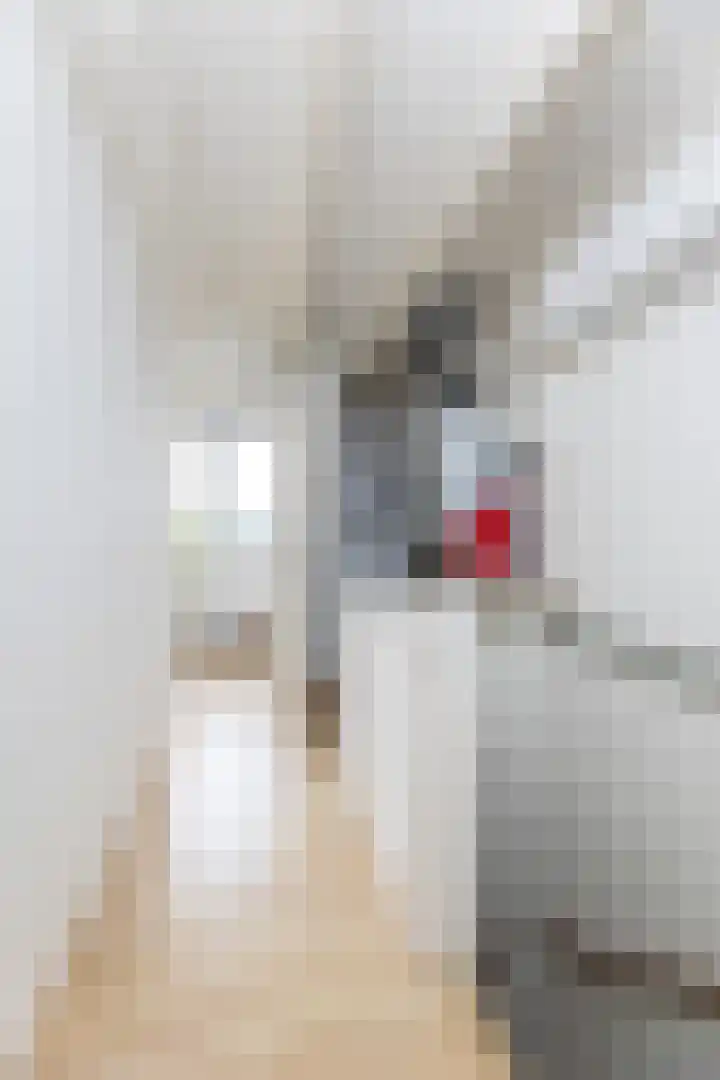 Boddemate 3 Zwolle thumbnail 24