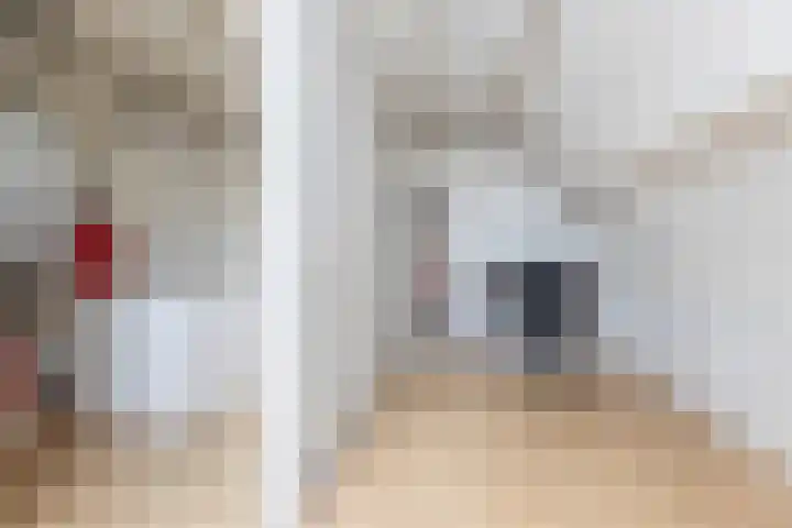 Boddemate 3 Zwolle thumbnail 25