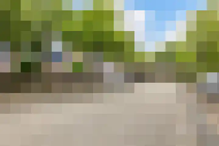 Boddemate 3 Zwolle thumbnail 32