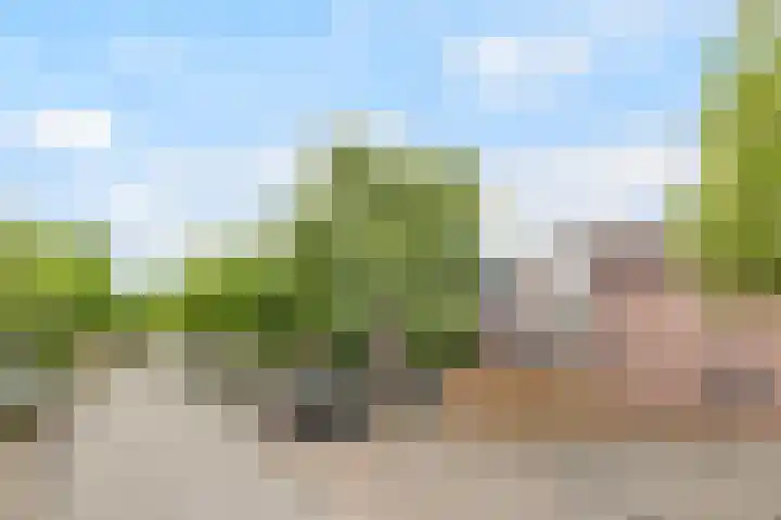 Boddemate 3 Zwolle thumbnail 33