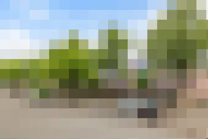 Boddemate 3 Zwolle thumbnail 34