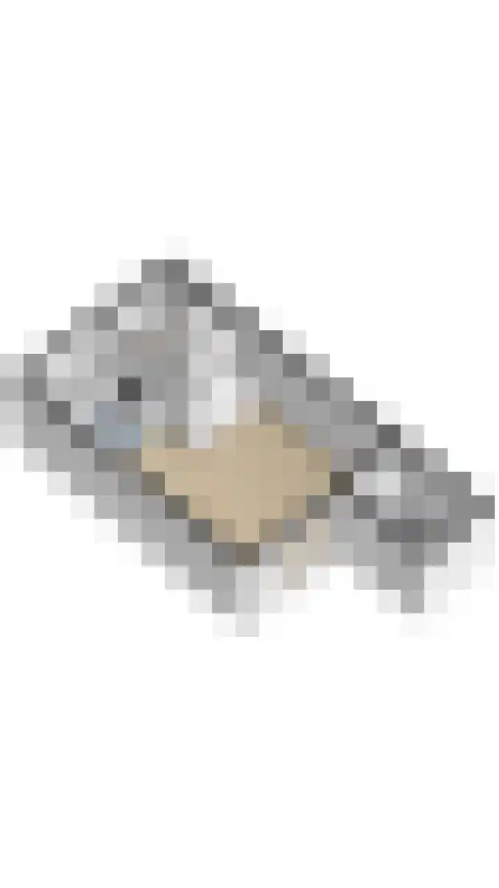 Boddemate 3 Zwolle thumbnail 38