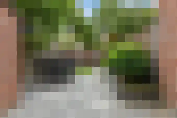 Boddemate 3 Zwolle thumbnail 4