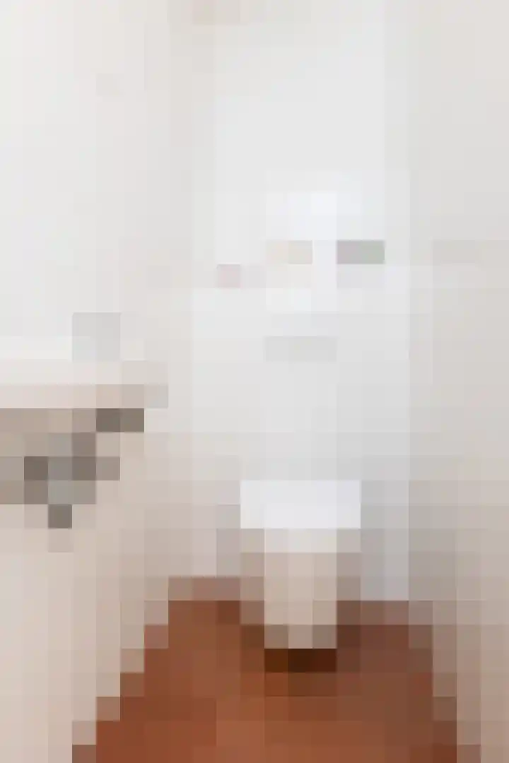 Boddemate 3 Zwolle thumbnail 8