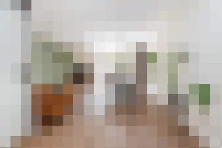 Boddemate 3 Zwolle thumbnail 9