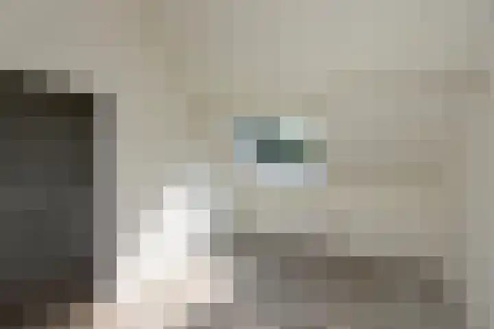 Bodegravenstraat 70 Tilburg thumbnail 29