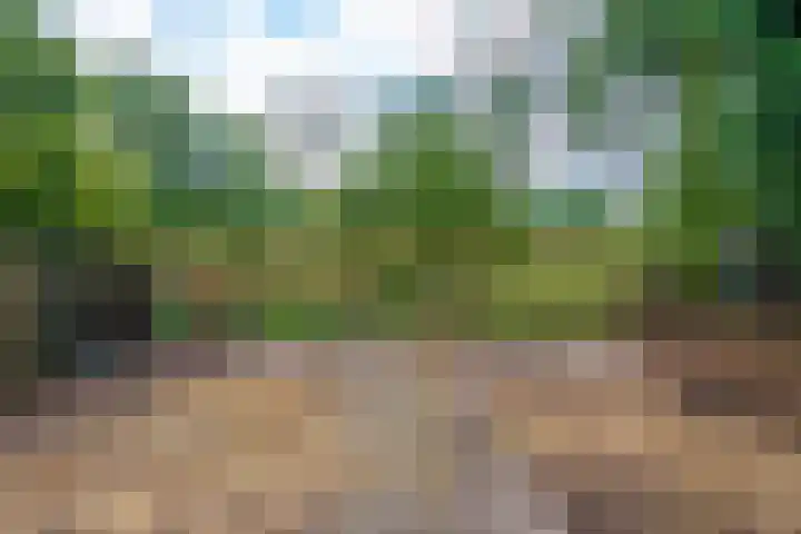 Bodegravenstraat 70 Tilburg thumbnail 31