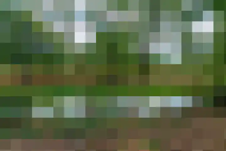 Bodegravenstraat 70 Tilburg thumbnail 35