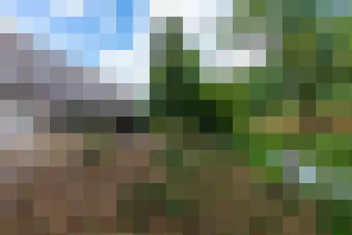 Bodegravenstraat 70 Tilburg thumbnail 37