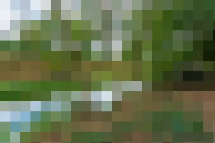 Bodegravenstraat 70 Tilburg thumbnail 39