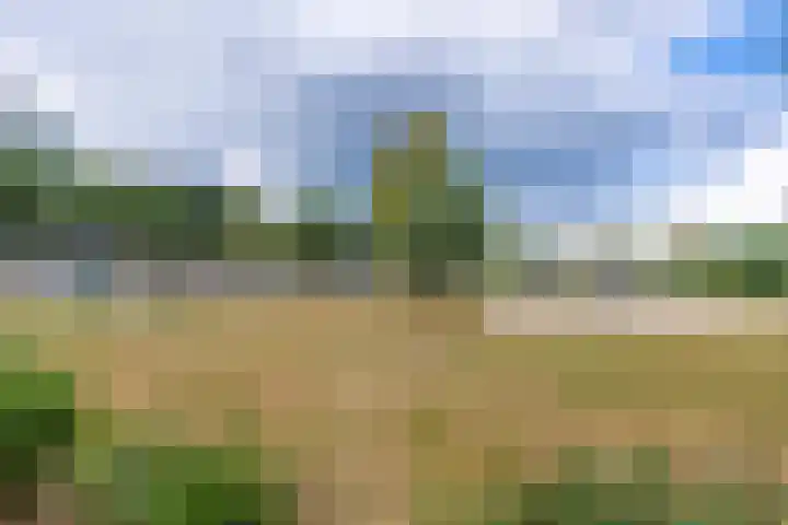 Bodegravenstraat 70 Tilburg thumbnail 41