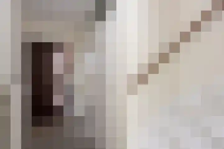 Bodegravenstraat 70 Tilburg thumbnail 8