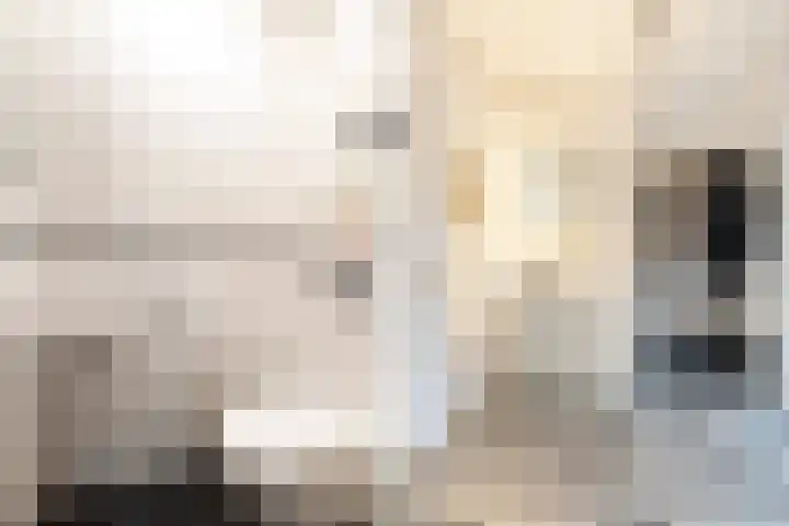 Bodelohof 6 Bodegraven thumbnail 11