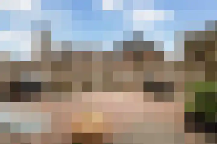 Bodelohof 6 Bodegraven thumbnail 36