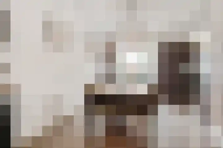 Bodemanstraat 14 Hilversum thumbnail 9