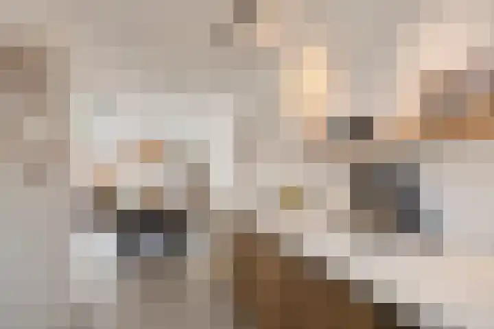 Bodemmes 5 Best thumbnail 11