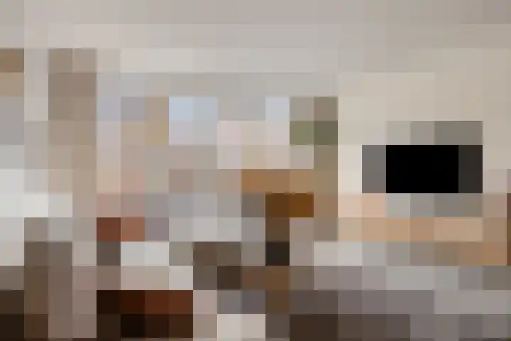 Bodemmes 5 Best thumbnail 17