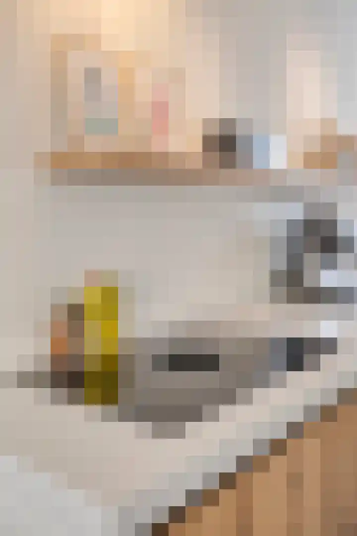 Bodemmes 5 Best thumbnail 19