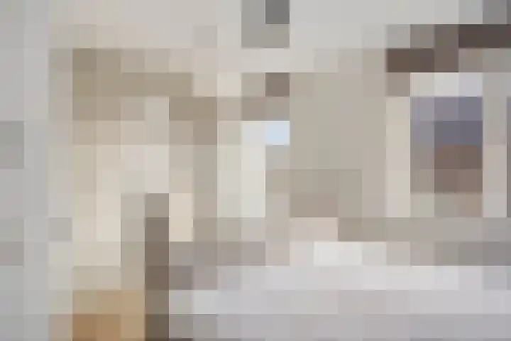 Bodemmes 5 Best thumbnail 23