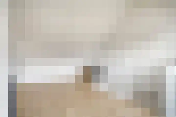 Bodemmes 5 Best thumbnail 30