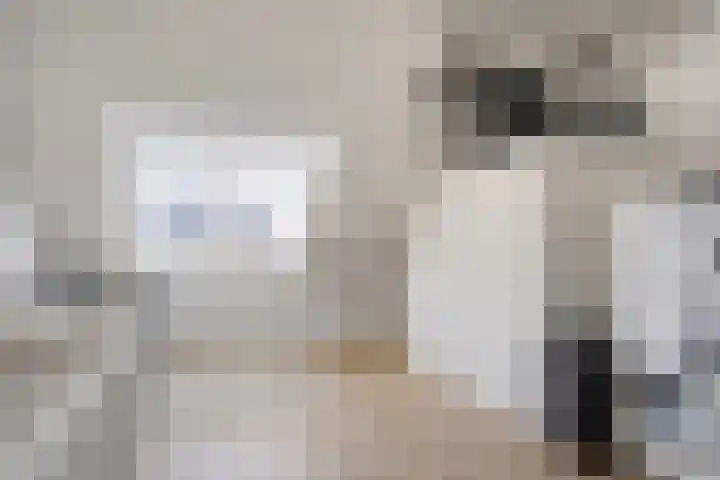 Bodemmes 5 Best thumbnail 31
