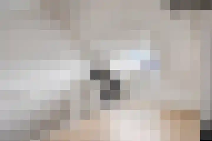Bodemmes 5 Best thumbnail 32