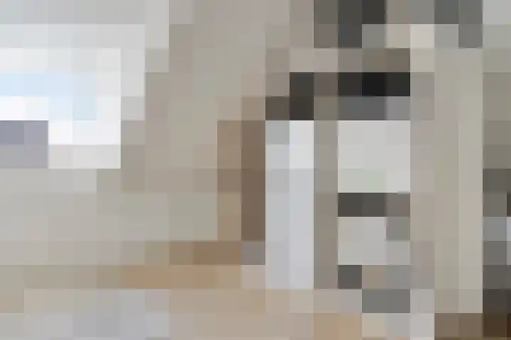 Bodemmes 5 Best thumbnail 33