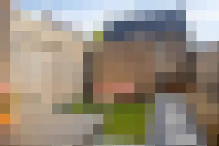 Bodemmes 5 Best thumbnail 34