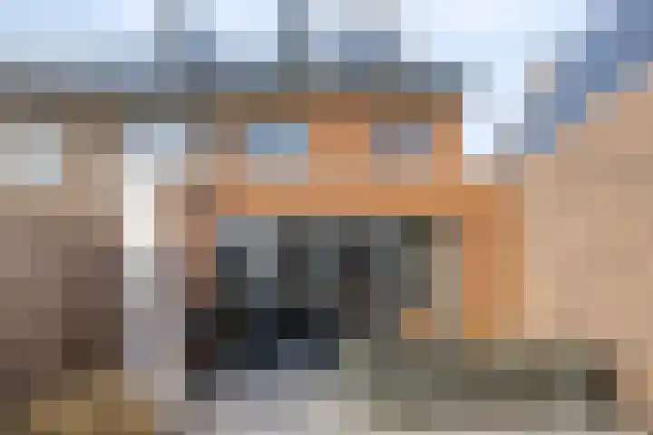Bodemmes 5 Best thumbnail 36