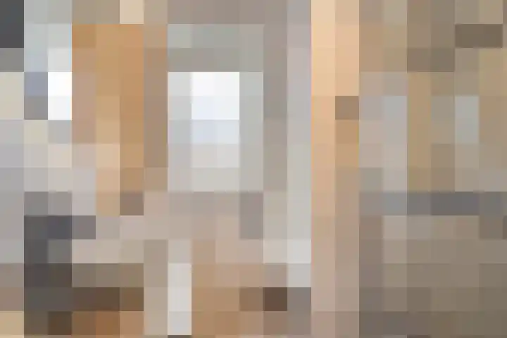 Bodemmes 5 Best thumbnail 4