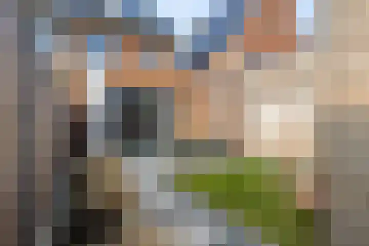 Bodemmes 5 Best thumbnail 5
