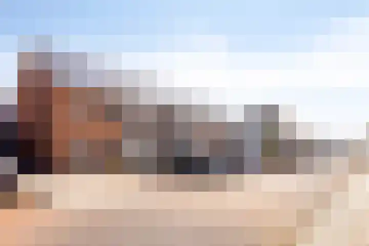 Bodemmes 5 Best thumbnail 6