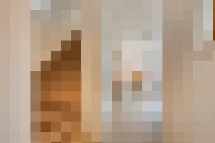 Bodemmes 5 Best thumbnail 8