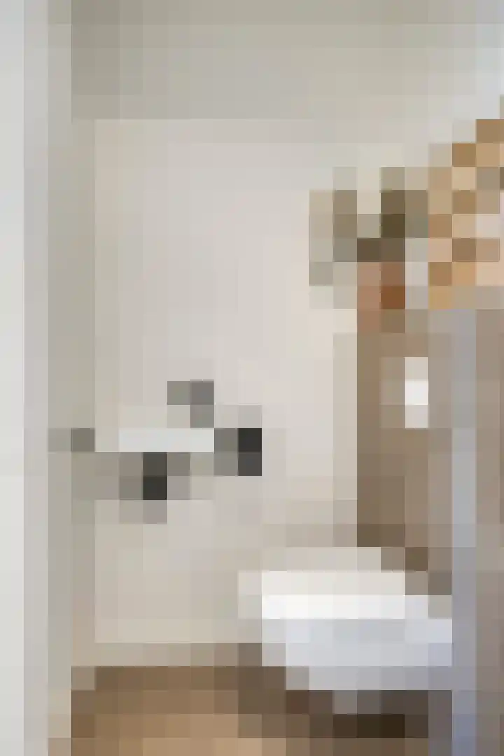 Bodemmes 5 Best thumbnail 9