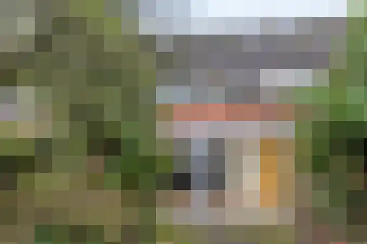 Bodohout 37 Zoetermeer thumbnail 12
