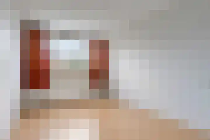 Bodohout 37 Zoetermeer thumbnail 19