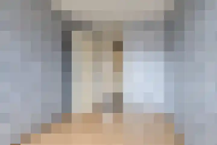Bodohout 37 Zoetermeer thumbnail 25