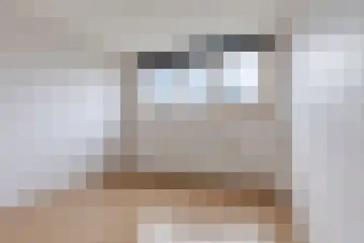 Bodohout 37 Zoetermeer thumbnail 27