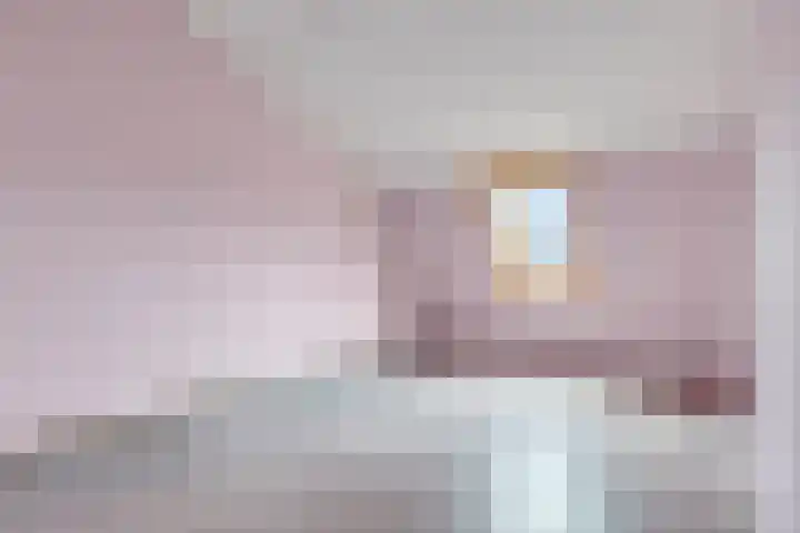 Bodohout 37 Zoetermeer thumbnail 34