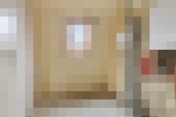 Bodohout 37 Zoetermeer thumbnail 36