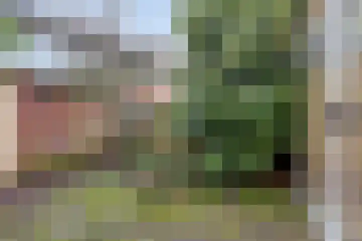Bodohout 37 Zoetermeer thumbnail 38
