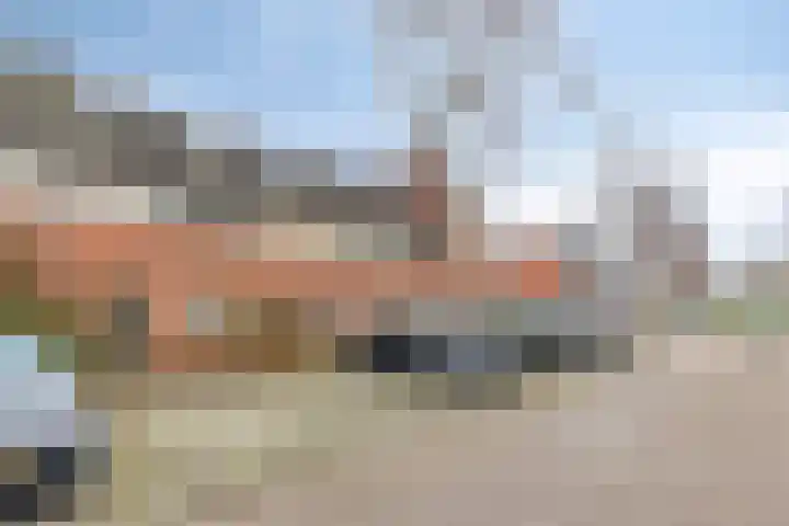 Bodohout 37 Zoetermeer thumbnail 39