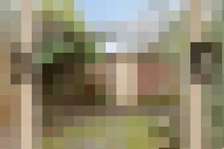 Bodohout 37 Zoetermeer thumbnail 4