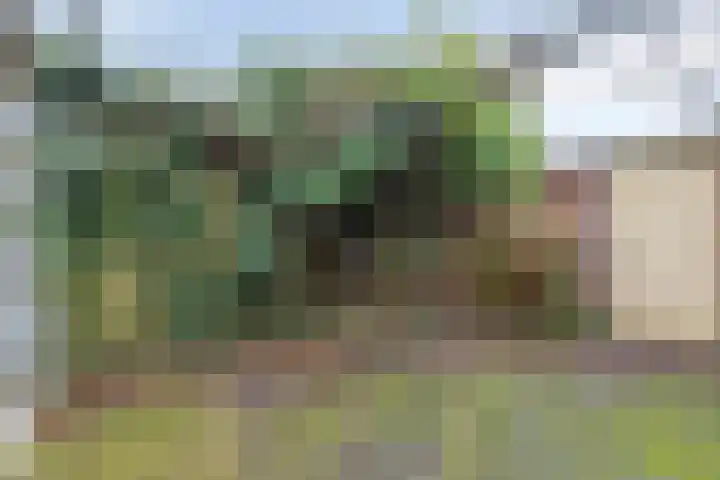 Bodohout 37 Zoetermeer thumbnail 40