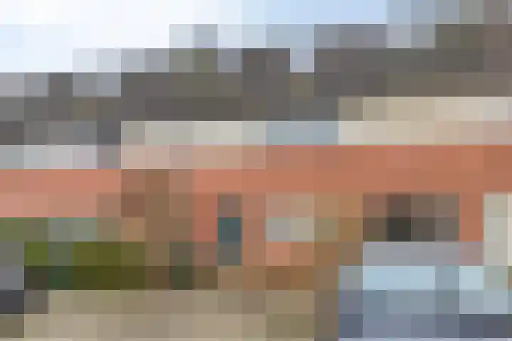 Bodohout 37 Zoetermeer thumbnail 42